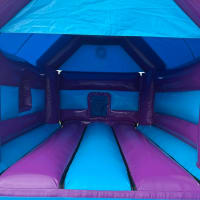 Hero Themed Blue And Purple Castle Bounce And Slide