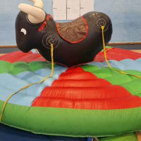 Inflatabull Rodeo Bull For Kids