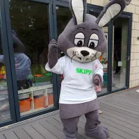 Easter Bunny Mascot