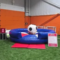 Rodeo Bull Hire Birmingham Bucking Bronco Hire