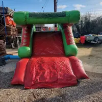 9.8ft Crocodile Slide