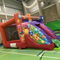 Low Roof Party Activity Castle