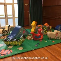 Animal Soft Play With Ball Pool