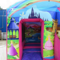 Pink Combi Bouncy Castle