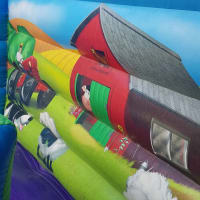 19ft Farmyard Mini Mega Slide
