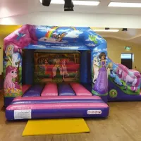 14ft X 16ft Unicorn Bounce And Slide