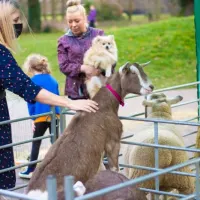 1.5 Hours Full Farm Package