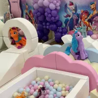 My Little Pony Themed Soft Play