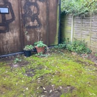 Shed Clearance