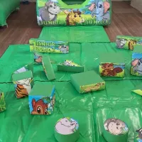 Jungle Activity Castle Party Package