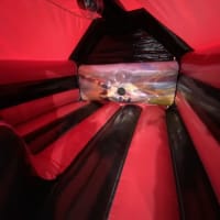 3d Racing Car With Slide 12ft X 18