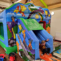 18ft X13ft Dinosaur Combi Castle