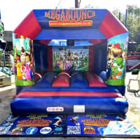 10ft X 12ft Super Mario Interchangeable Bouncy Castle