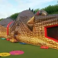 Mega Crocodile Obstacle 53ft