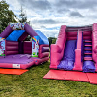 Pink And Purple Package