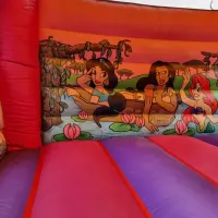 14ft X 20ft The Enchanted Princess Bounce And Front Slide