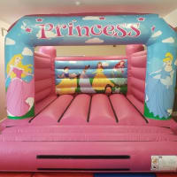 Any Party Bouncy Castle Kids Soft Play And Ball Pool Package