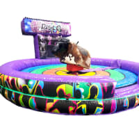 Disco Rodeo Bull - Indoors Only