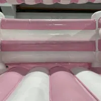 Pink And White Flump Bouncy Castle