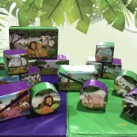 3d Jungle Premium Party Package