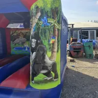 10ft X 12ft Jungle Interchangeable Bouncy Castle