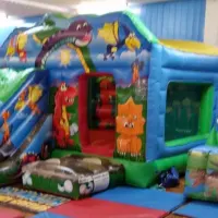 18ft X13ft Dinosaur Combi Castle