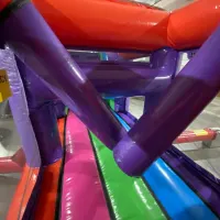 45ft Partytime Obstacle