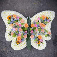 Pillows, Cushions And Butterflies