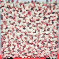 White Pink And Mauve Flower Wall