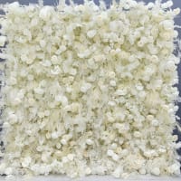 White & Champagne Flower Coloured Flowers With Wild Fern