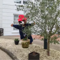 Mascot 40