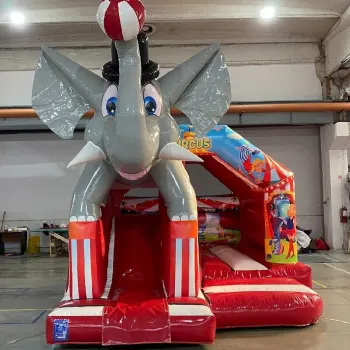 3D Circus Combi Bouncy Castle hire in Ely