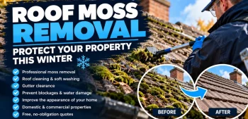 Roof Moss Removal And Exterior Property Care Before Winter