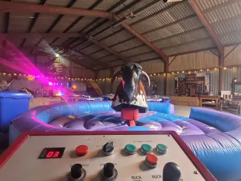 Creative Themes And Ideas For A Mechanical Bull Event