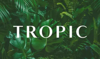 Exciting News - Launched My Tropic Business