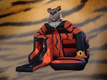 Your Local Bouncy Castle Experts