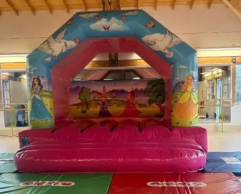 Imaginative Bouncy Castle Designs In Cambridge