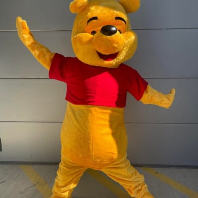 Mascot Hire Near Me