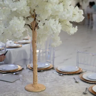 Deylu Events, Parties And Events, Conneticut