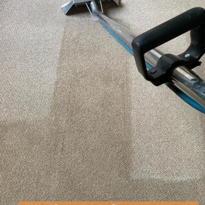 Carpet Steam Cleaning Near Me