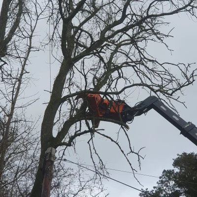 Rubbish Removal With Cherry Picker