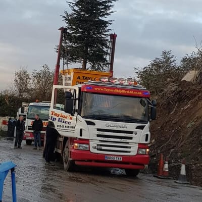 Rubbish Collection - Huge Christmas Tree Clearance