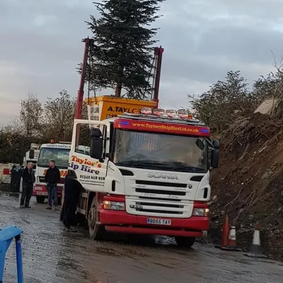 Rubbish Collection - Huge Christmas Tree Clearance