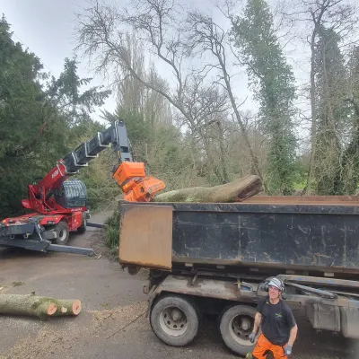 Roll On Roll Off Skip With Tree Removal