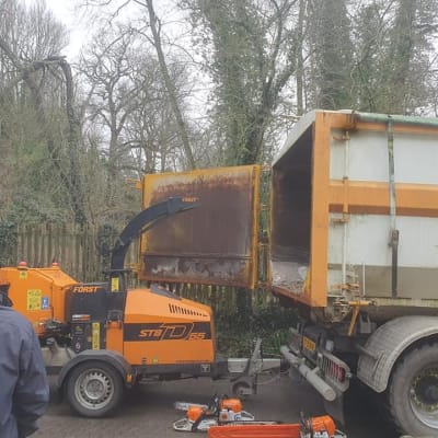 Wood Collection For Roro Skip Hire