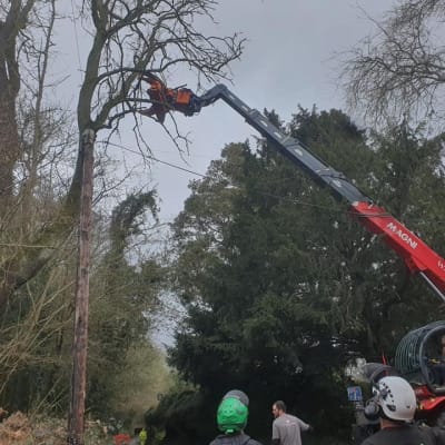 Wood Removal With Cherry Picker