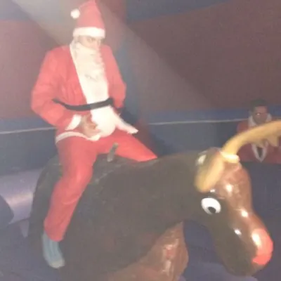 Rodeo Reindeer Hire London