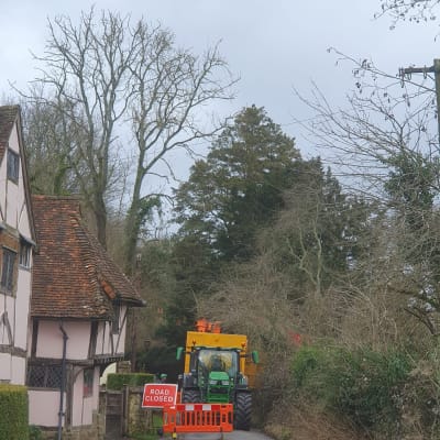 Roll On Roll Off Skip On Closed Road For Tree Removal