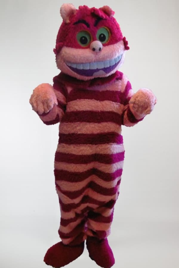 Cheshire Cat Costume Express Yourself Costume Hire Southampton