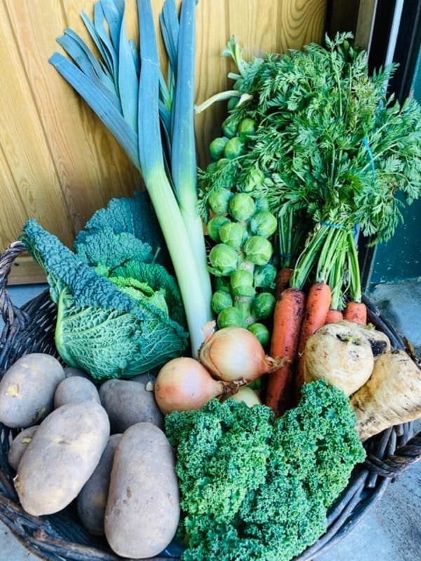 Small Christmas Veg Box - Grange Farm Store | At Grange Farm Logs we stock a range of logs for